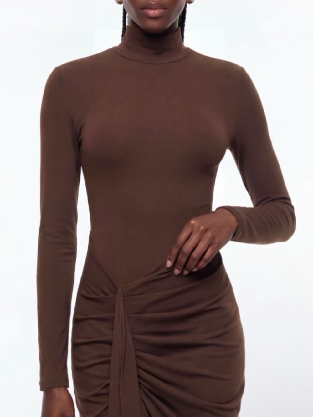 Olia Long Sleeve Turtleneck Dress in brown